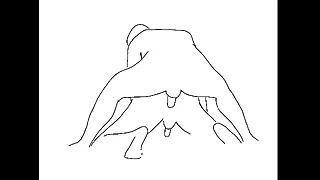 The disobedient story of the crossdresser